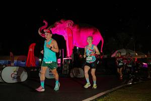 BIB: 
                            <button type="button" onclick="openModal(26543554)" class="btn btn-primary btn-sm float-right btn-popup" data-toggle="modal" data-target=".modal-high-quality">
                        <i class="fas fa-shopping-cart"></i> Add to Cart
                    </button>
                                            <button type="button" onclick="isThisMe(26543554, true)" class="btn btn-success btn-sm float-right btn-popup btn-isme hidden" data-toggle="tooltip" data-placement="bottom" title="นี่คือรูปของคุณใช่ไหม คลิกที่นี่เพื่อเอาเข้าอัลบั้ม">
                        <i class="fas fa-plus"></i> Add to album
                    </button>
                    <button type="button" onclick="isThisMe(26543554, false)" class="btn btn-warning btn-sm float-right btn-popup btn-isnotme hidden">
                        <i class="fas fa-ban"></i> Remove from album
                    </button>